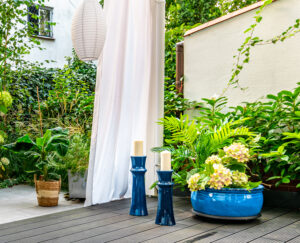 błękitne lampiony w ogrodzie, ogród egzotyvzny