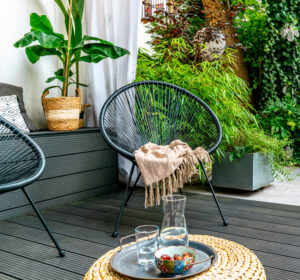 salon ogrody, egzotyka w ogrodzie