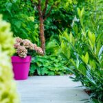 Mały ogród Warszawa